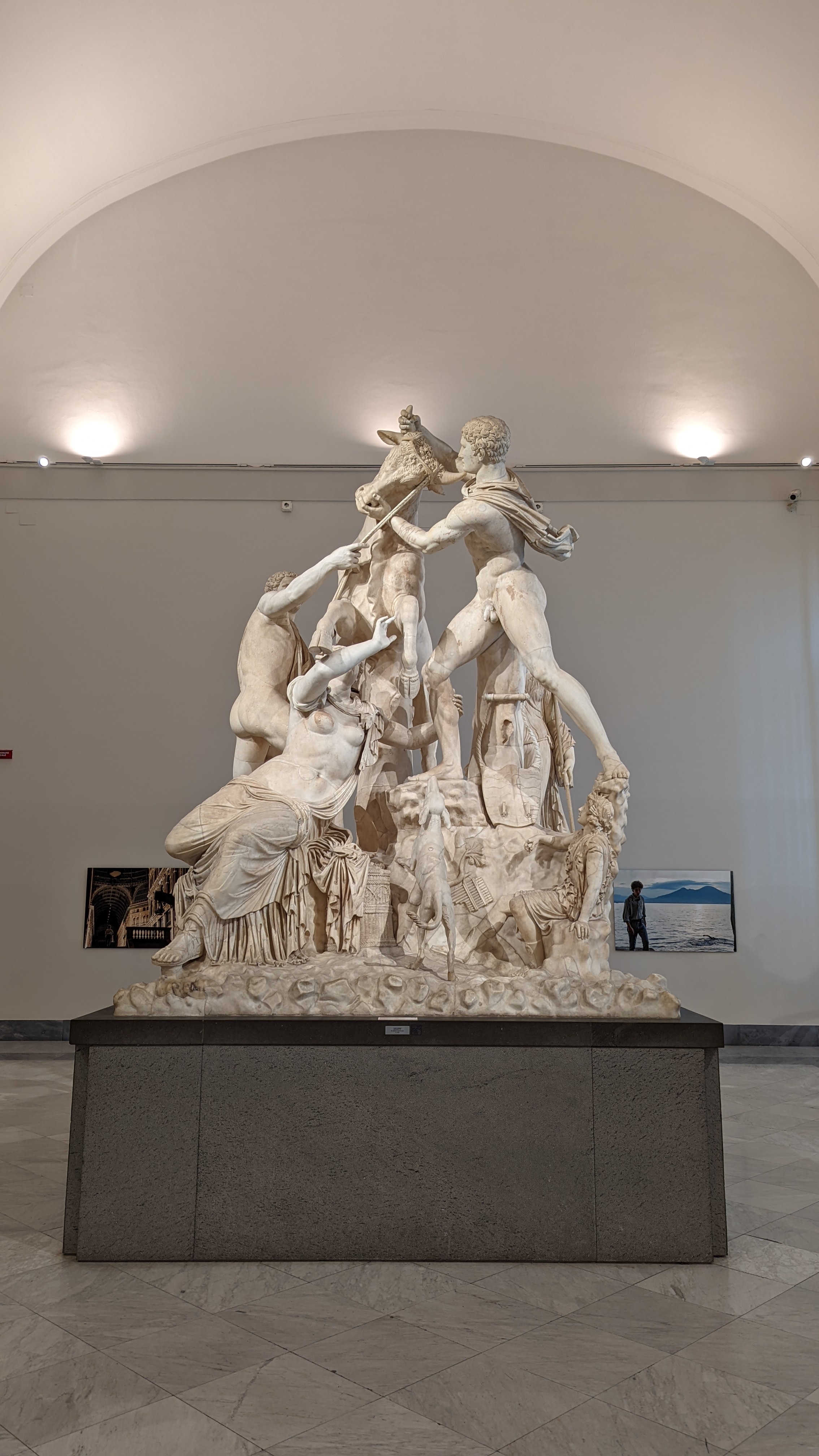 Toro Farnese, MANN