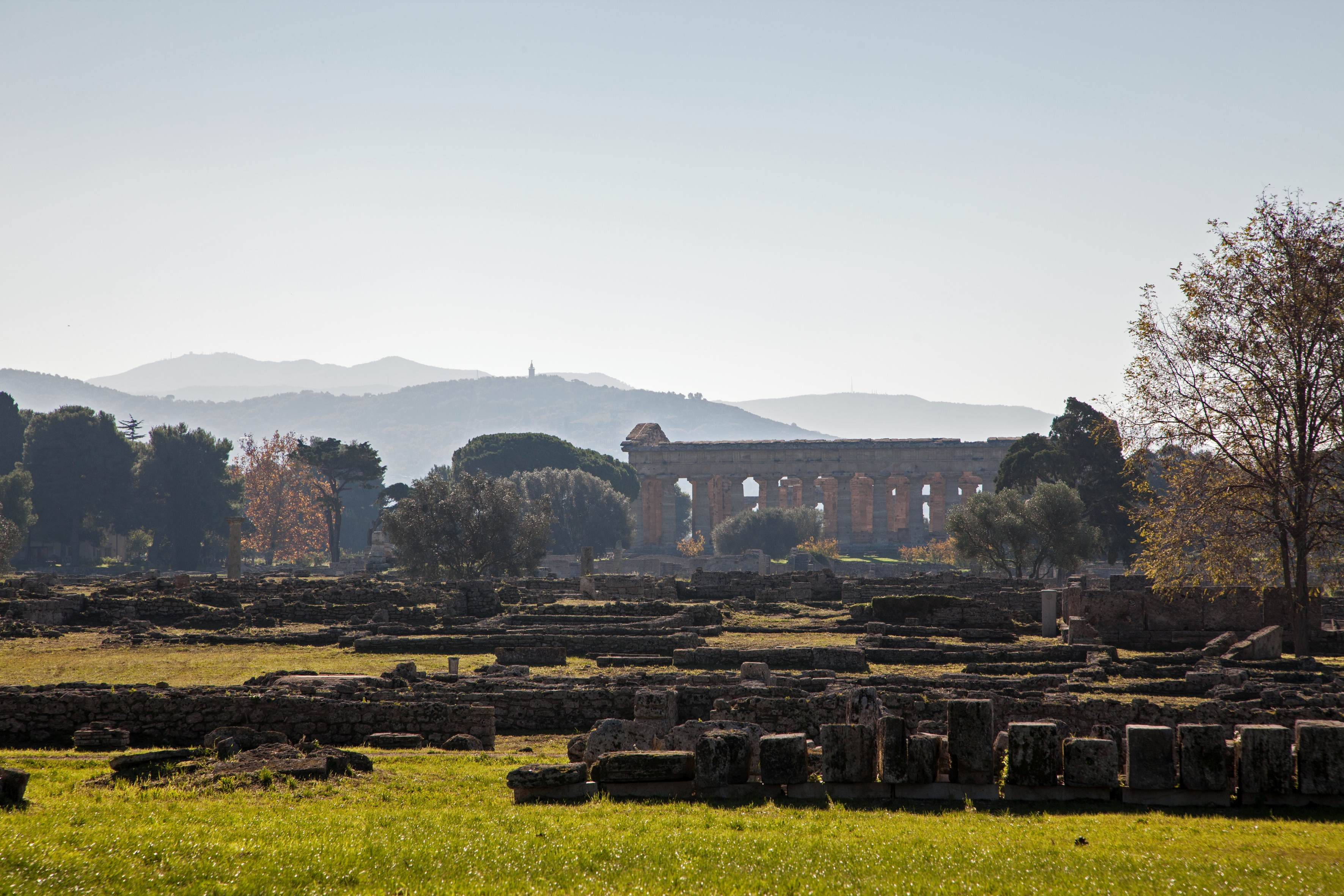 Inquadratura di Paestum